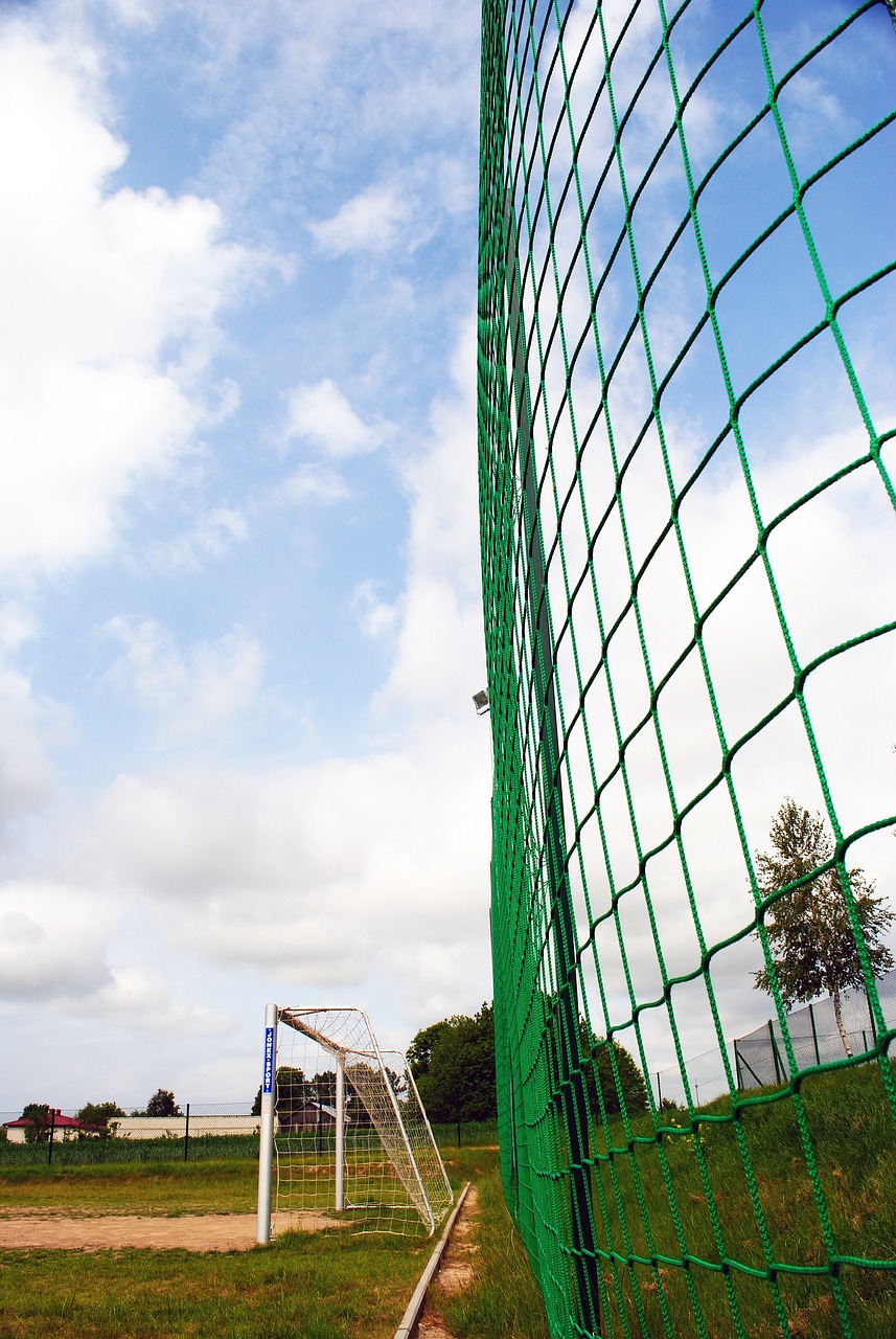 阿奴诺比分 阿奴诺比分