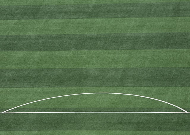 勇士能否利 勇士能否利