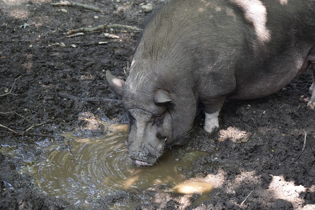 生和护理人 生和护理人