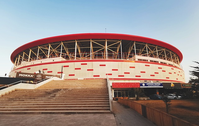 总台记者专访丨欧洲议会前副议长：欧洲应摆脱追随美国政策 追求战略自主.